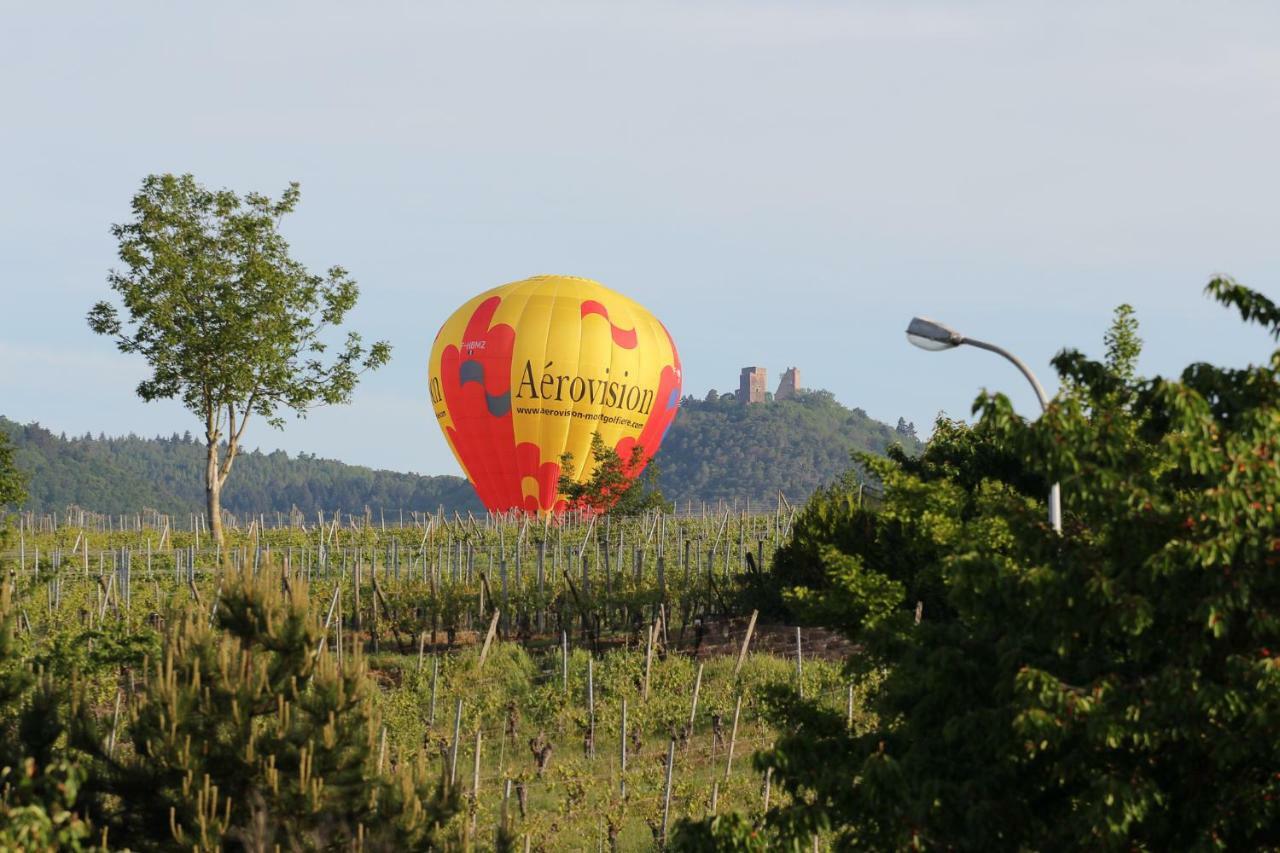 La Belle Alsacienne - Route Des Vins D'Alsace Hotel Hattstatt Habitación foto